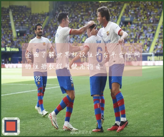 全面了解世界杯投注平台平台官网的注册教程与使用指南