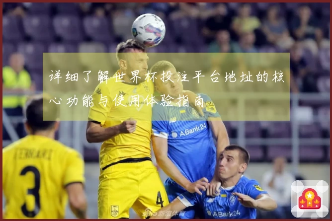 详细了解世界杯投注平台地址的核心功能与使用体验指南